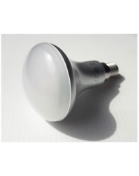 Ampoule Led 5W R50 E14