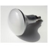 Ampoule Led 5W R50 E14